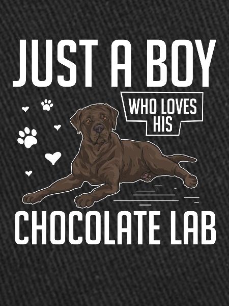 Chien Labrador Retriever chocolat