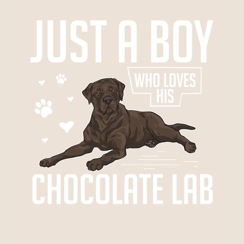 Chien Labrador Retriever chocolat