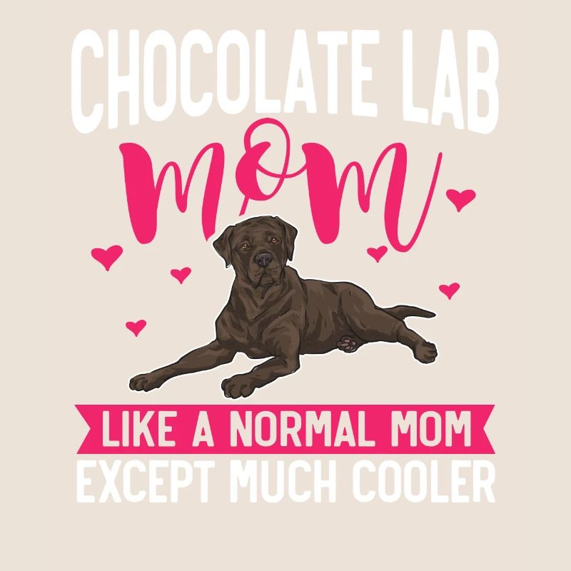 Chocolate Labrador Retriever dog