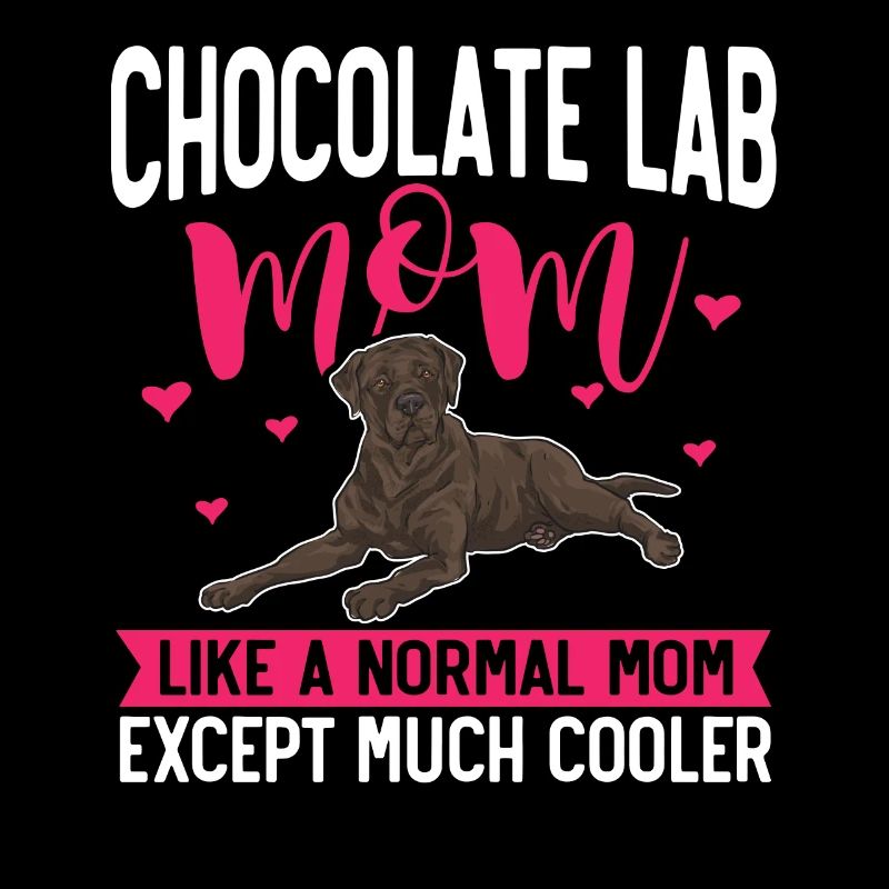 Chien Labrador Retriever chocolat