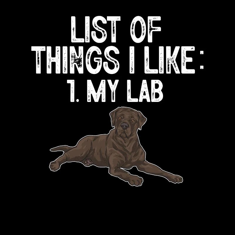 Chien Labrador Retriever chocolat