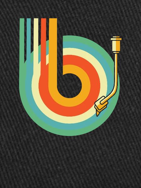 Collectionneur de disques vinyles