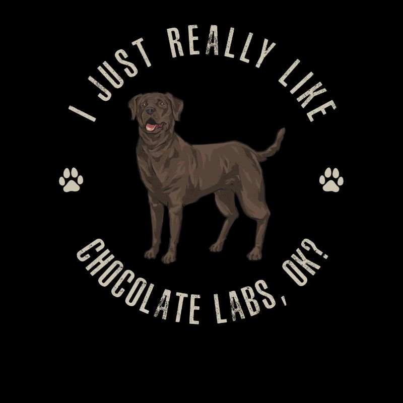 Chien Labrador Retriever chocolat