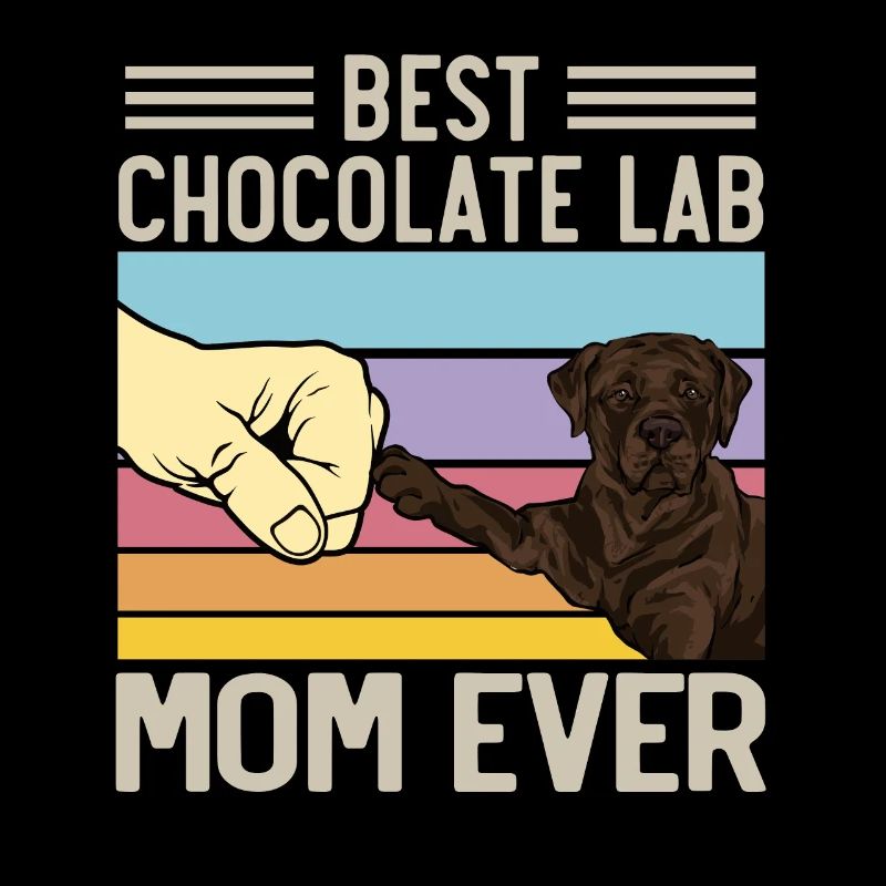 Chien Labrador Retriever chocolat