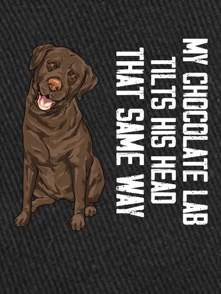 Chien Labrador Retriever chocolat