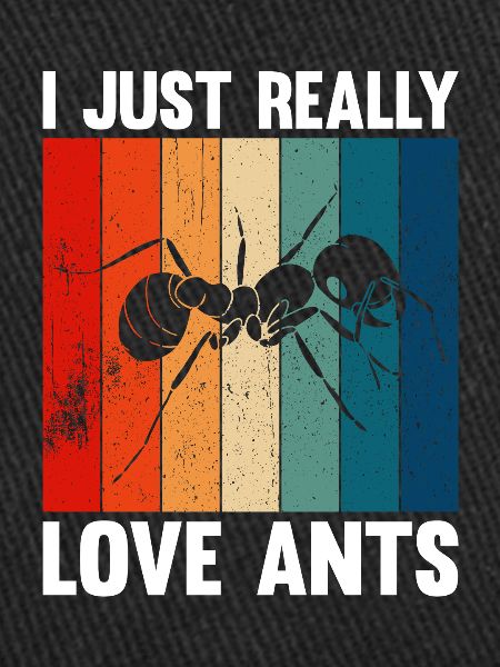 Antkeeping Ant Breeding Ants