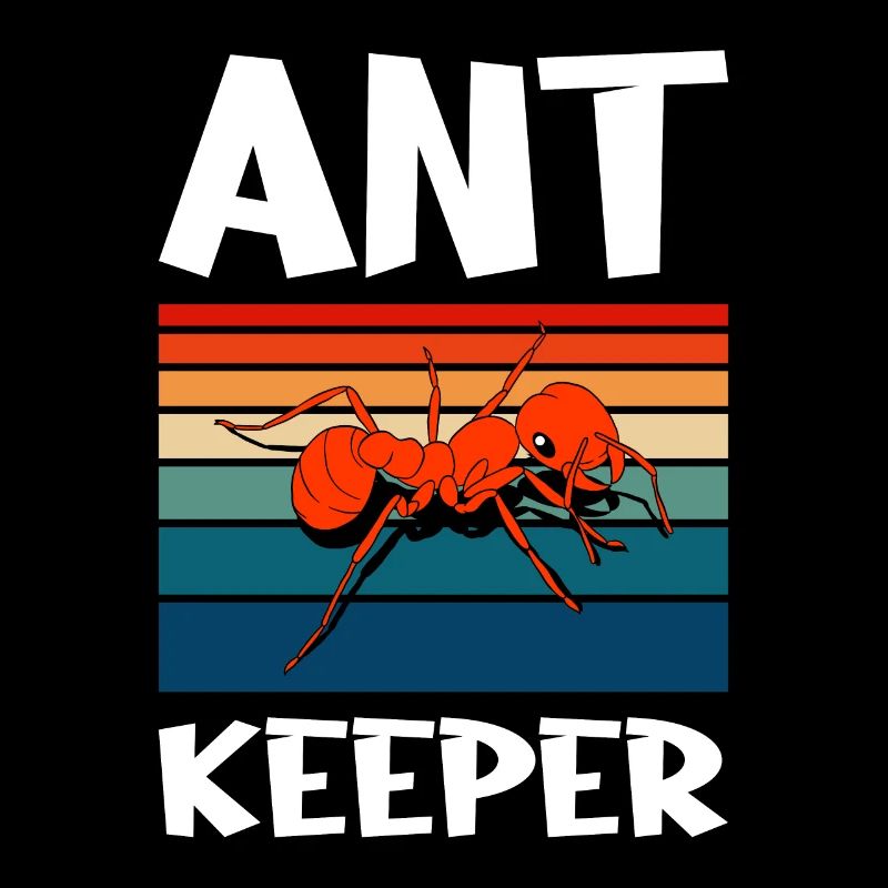 Antkeeping Ameisenzucht Ameisen
