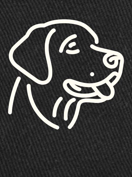 Visage de Labrador Retriever