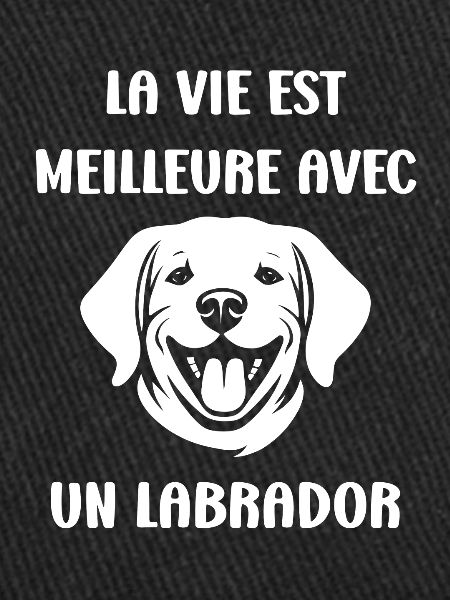 Petit chien humour labrador