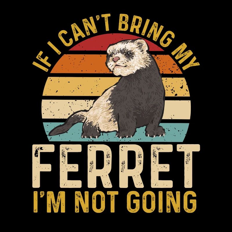 Frettchen Besitzer Frettchen