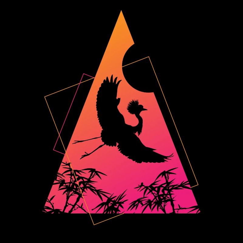 Crane Origami Geometry Creativity