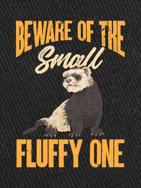 Furet, propriétaire de furet