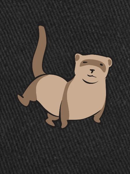 Furet, propriétaire de furet