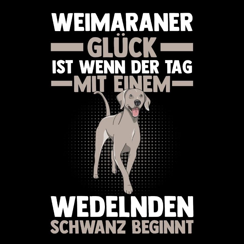 Braque de Weimar chien