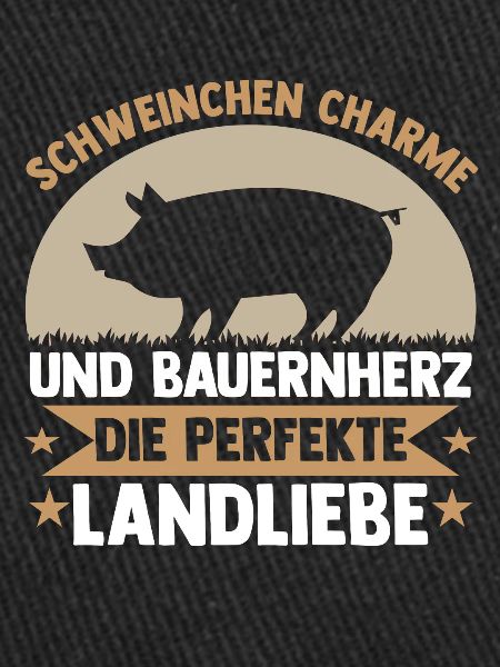 Schwein Schweinebauer Bauernhof Schweine