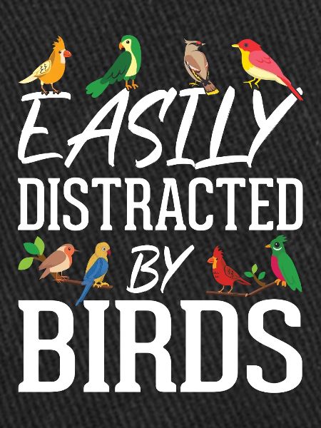 Easily Distracted by Birds