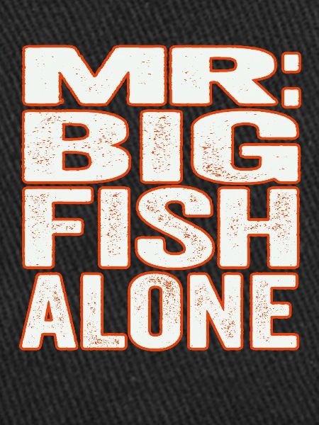 MR BIG FISH ALONE