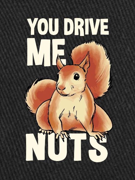 Squirrel Gift Idea