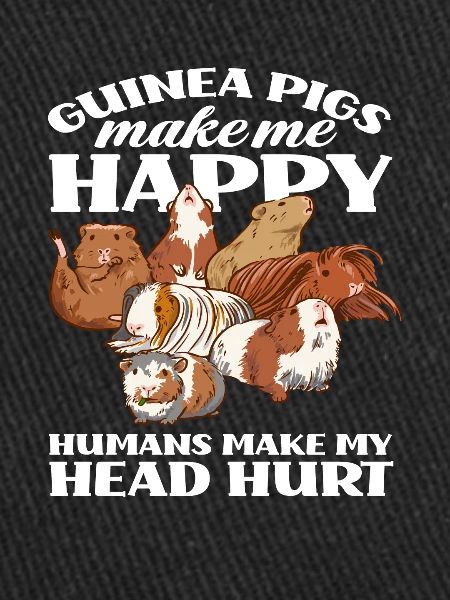 Cochon d’Inde Bonheur Animaux Amour