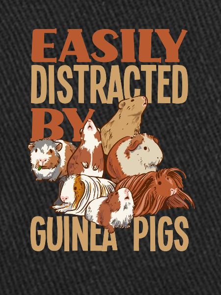 Cochon d’Inde Animal de compagnie