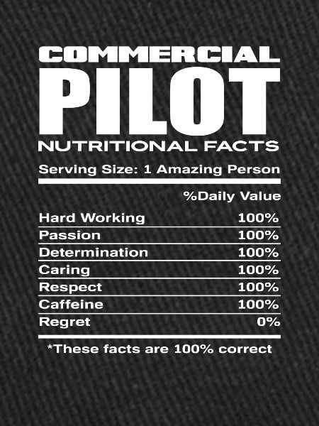 Profession de pilote professionnel