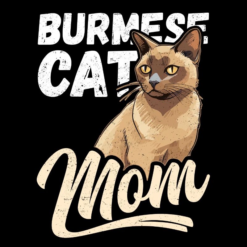 Maman birmane chat chat birman chats cadeau