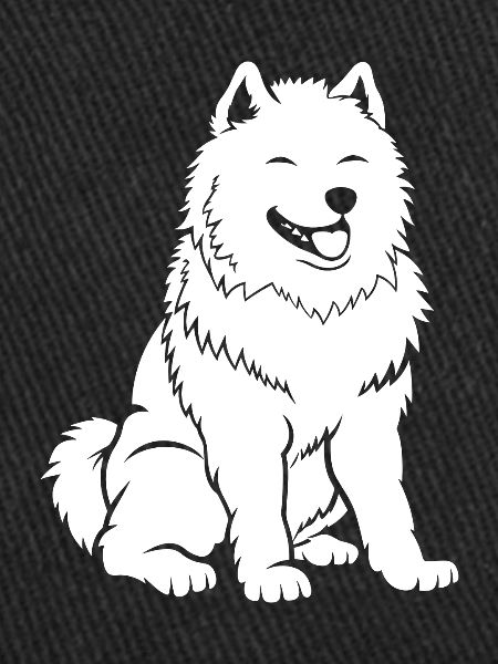 Humour Chien Samoyède