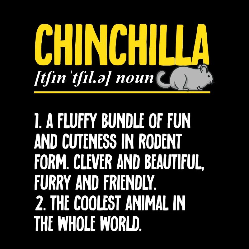Chinchilla