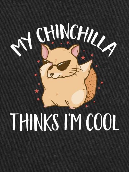 Chinchilla