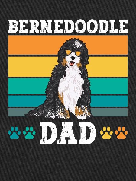 Bernedoodle Dog