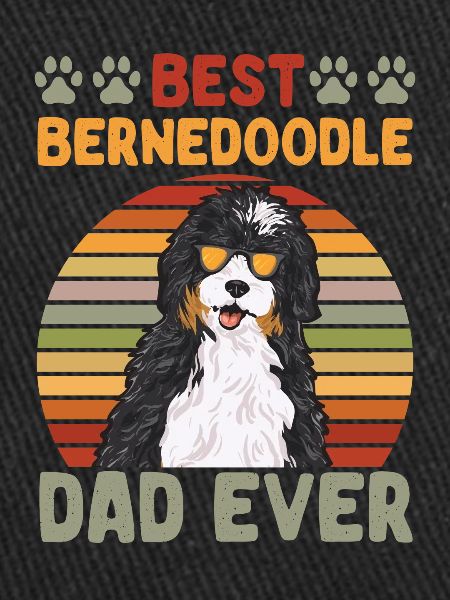Bernedoodle Hund