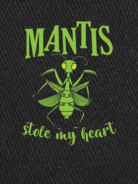 Mantis a volé mon cœur