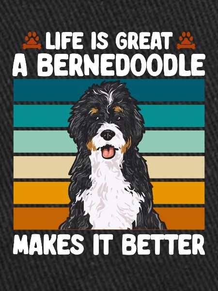 Bernedoodle Dog