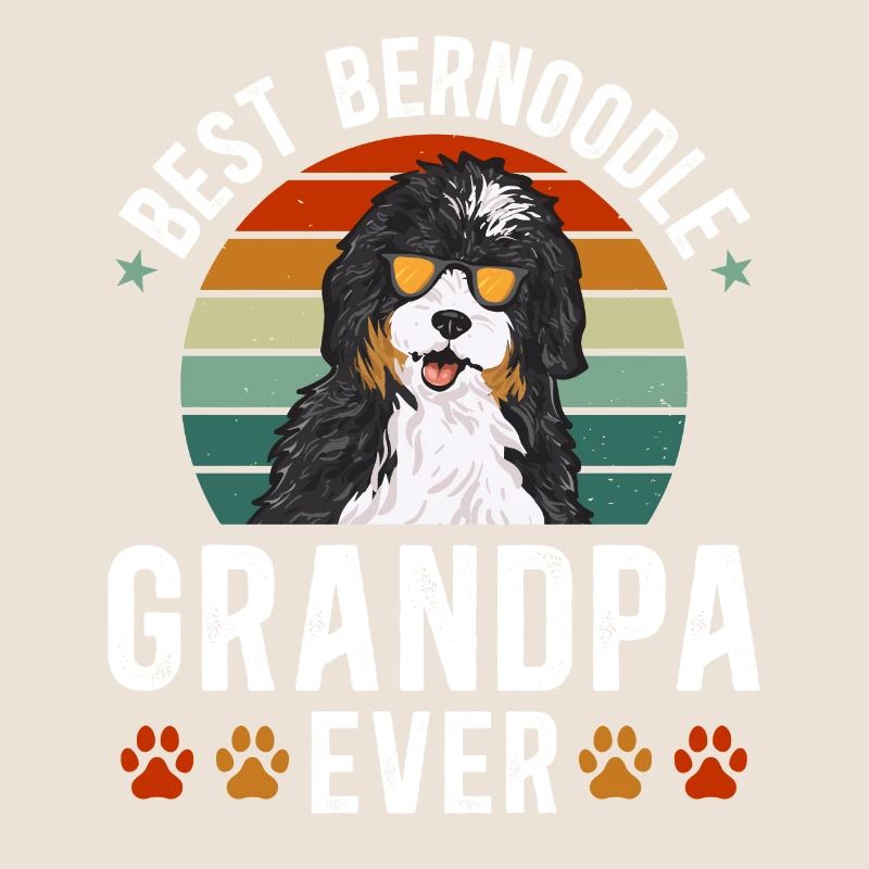 Bernedoodle Hund
