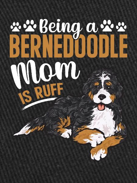 Chien Bernedoodle
