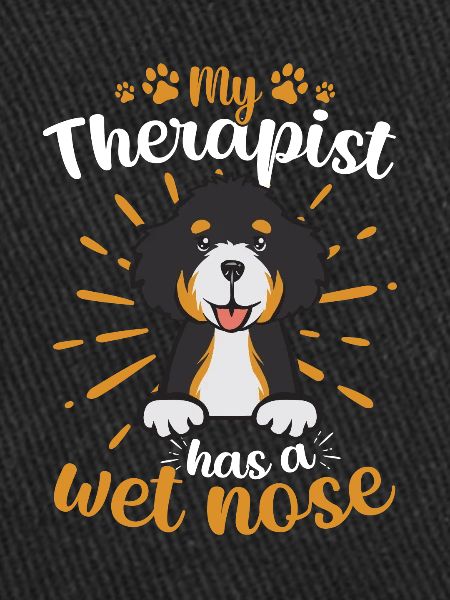 Chien Bernedoodle