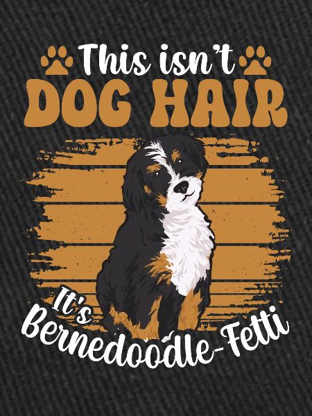 Chien Bernedoodle