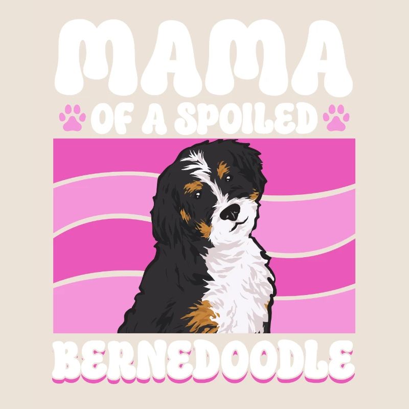 Bernedoodle Hund