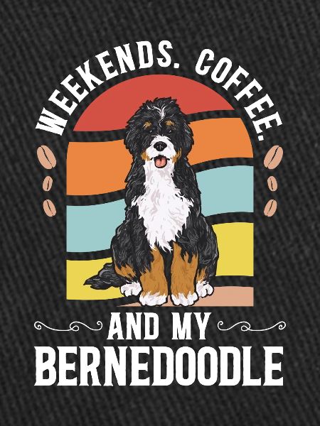 Chien Bernedoodle