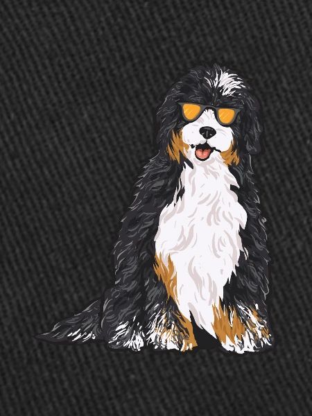 Chien Bernedoodle