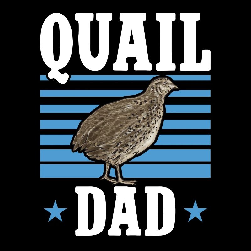 Oiseau de caille
