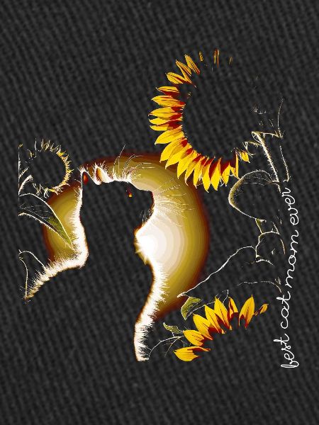 Chat tournesol