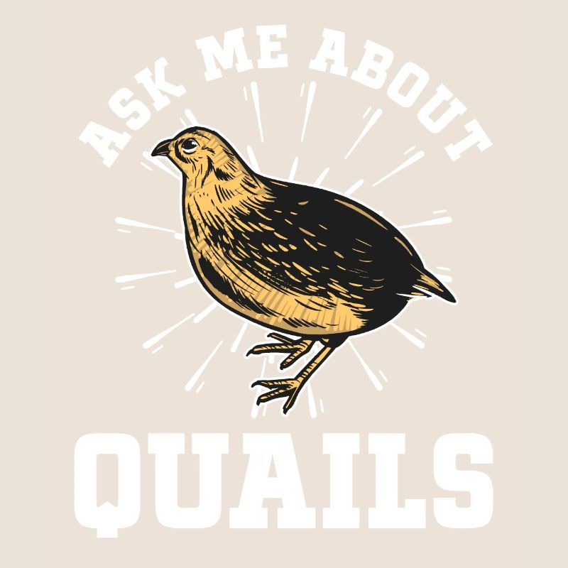 Quail Bird