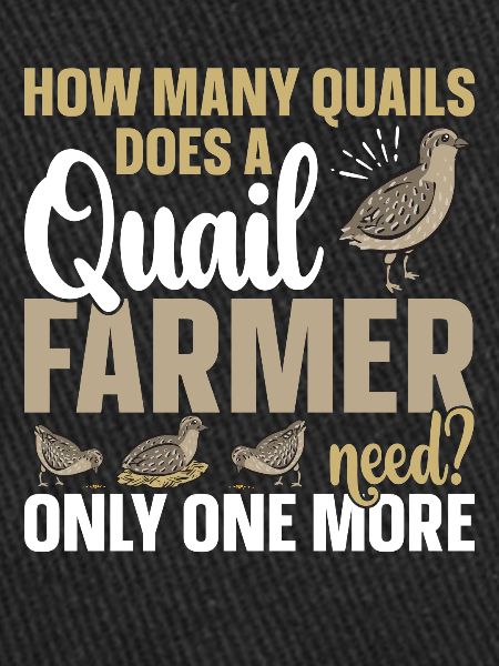 Quail Bird