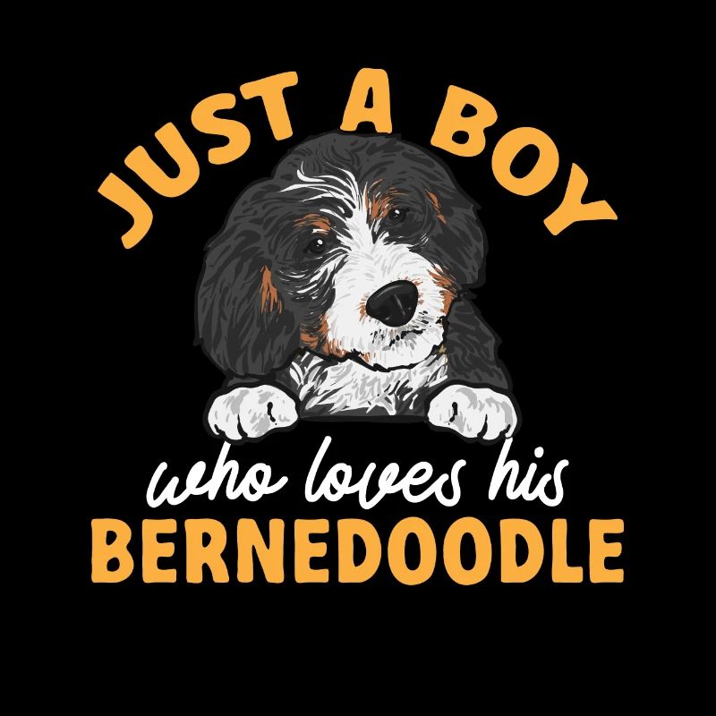 Bernedoodle Hund
