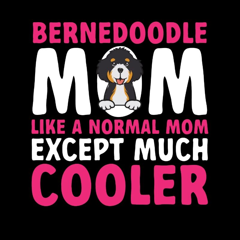 Bernedoodle Hund