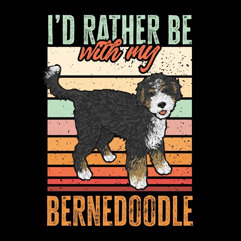 Bernedoodle Hund