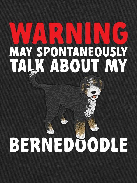 Chien Bernedoodle