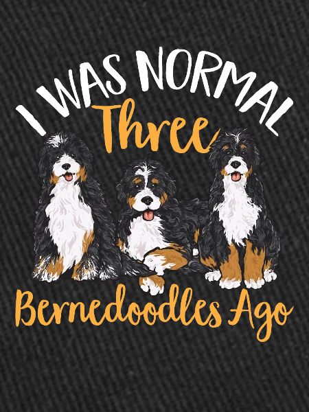 Chien Bernedoodle