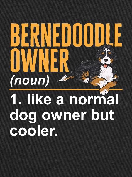 Bernedoodle Dog